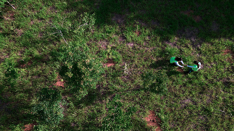Hydro Rein employees overseeing compensatory reforestation efforts at the Boa Sorte solar complex in Minas Gerais, Brazil