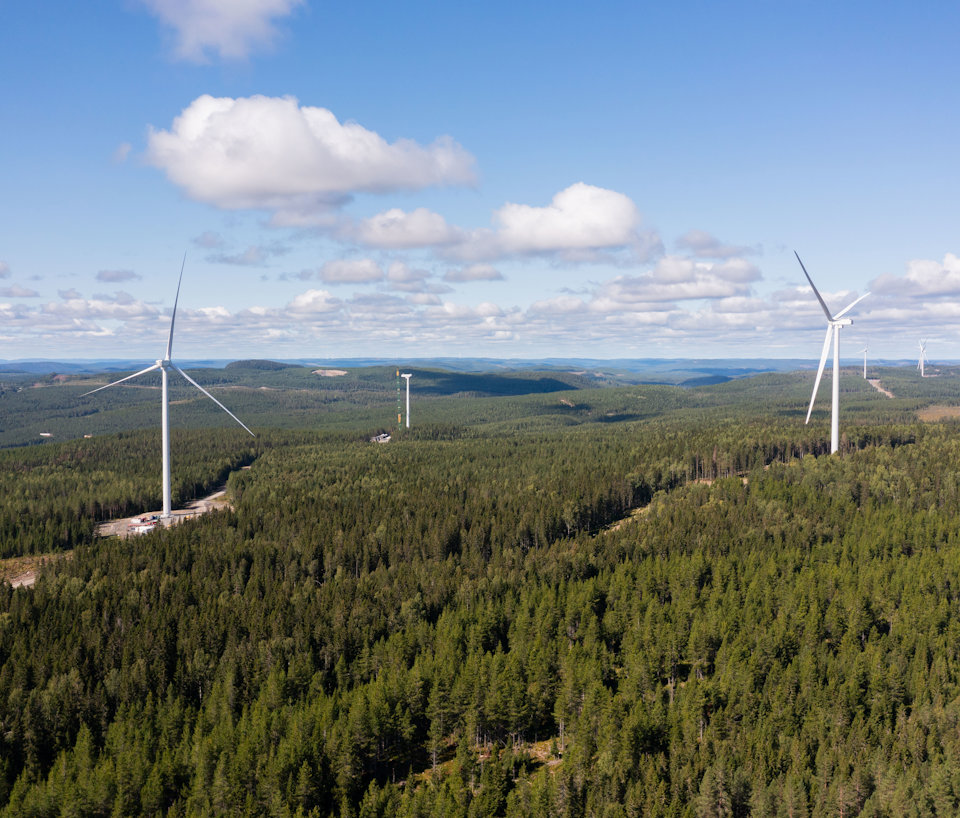 a group of wind turbines in a forest